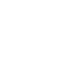 Global Recognition Icon