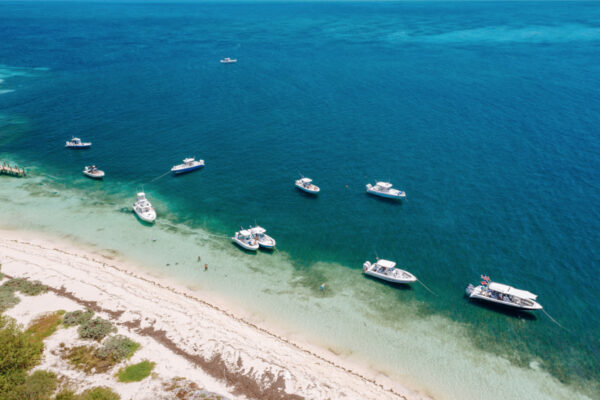 Aerial view of multiple Everglades boats anchored near a sandy shoreline with clear turquoise water and vegetation visible along the beach