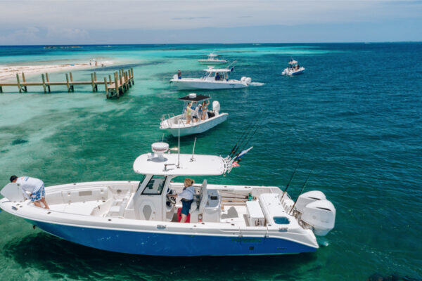 Fleet of Everglades boats anchored near a tropical shoreline with turquoise waters and a wooden dock in the background, showcasing sleek and modern boat designs under sunny skies