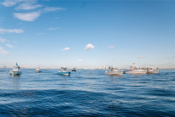 Several boats floating on calm blue water under a clear sky, with a distant shoreline visible in the background