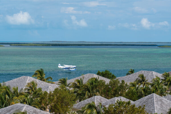 A picturesque view of a seaplane on a serene body of water, surrounded by lush tropical palm trees and rooftops, with a distant horizon of calm water and blue skies