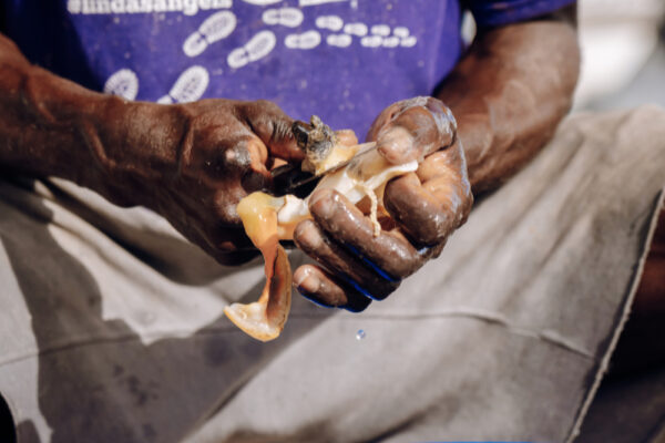 Man cutting a shellfish