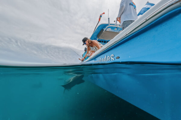 A split shot view of an angler on an Everglades boat reeling in a fish near the surface of clear blue water and another person standing nearby
