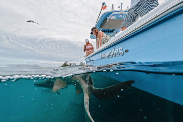 Everglades fishing boat with people catching shark